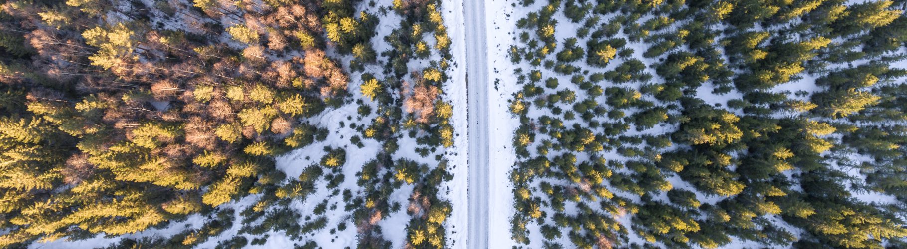 5PlntEVNrwyHighlight752x500